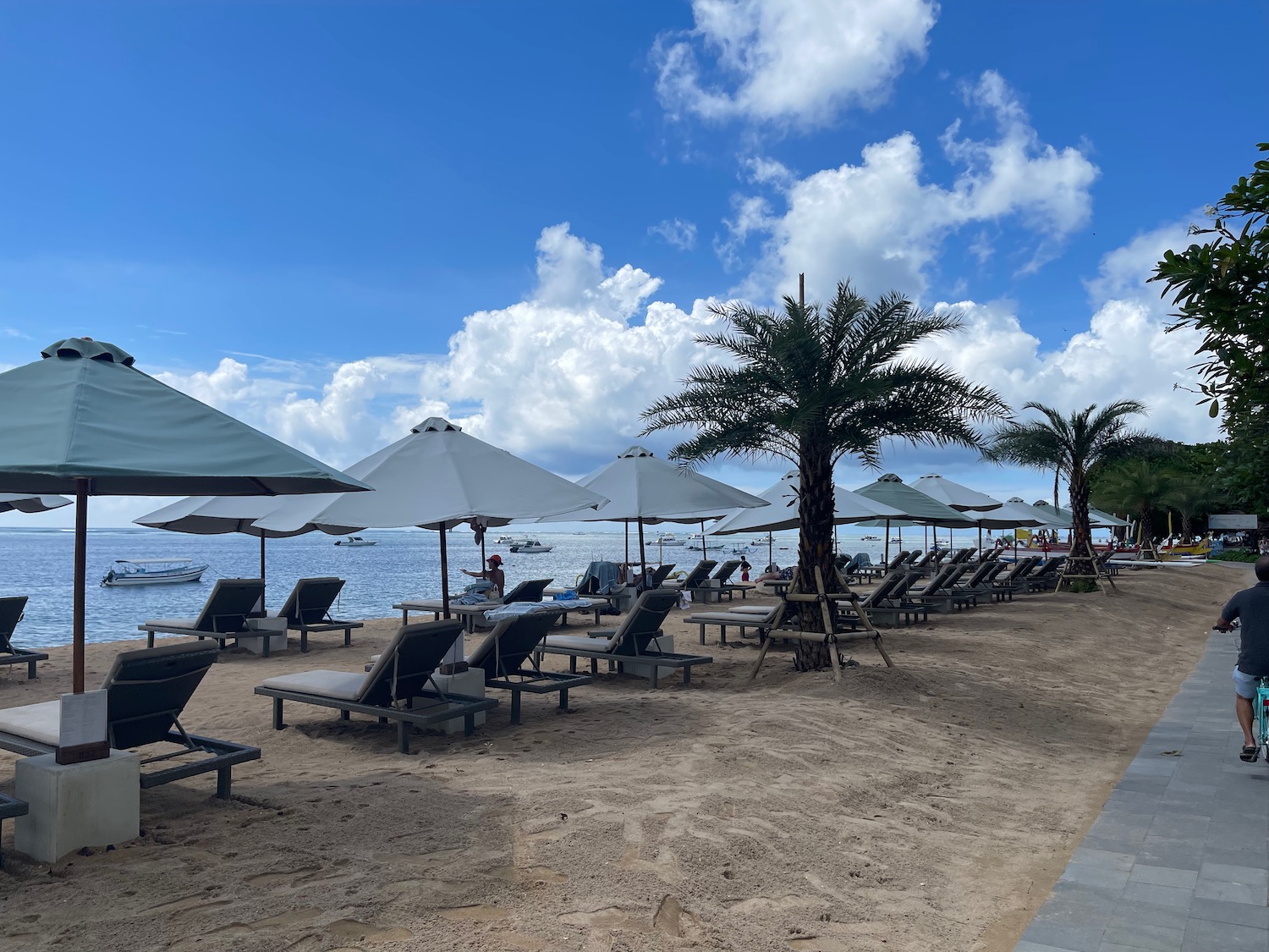 a beach with chairs and umbrellas