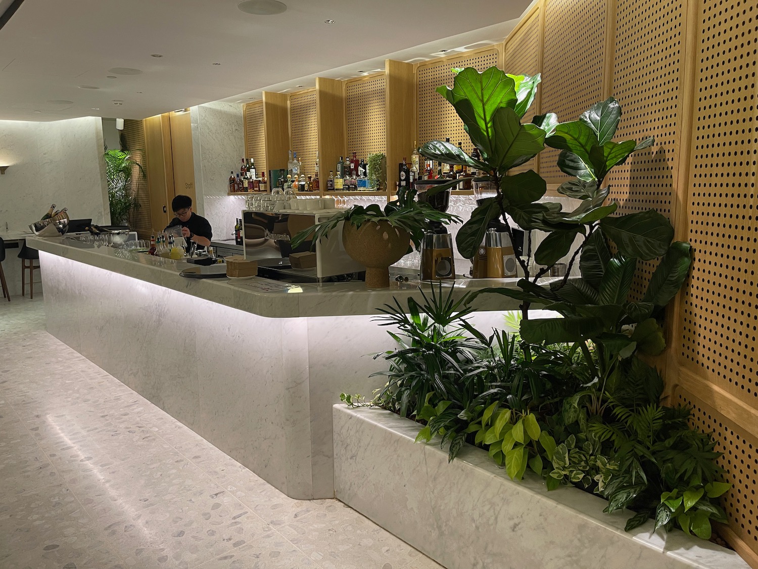 a bar with plants and a person behind it