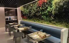 Qatar Airways Premium Lounge Singapore Review