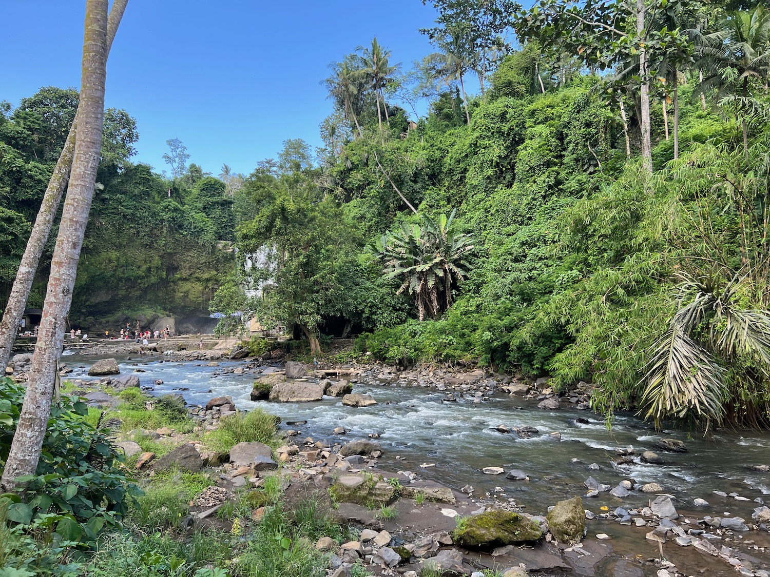 a river with rocks and trees