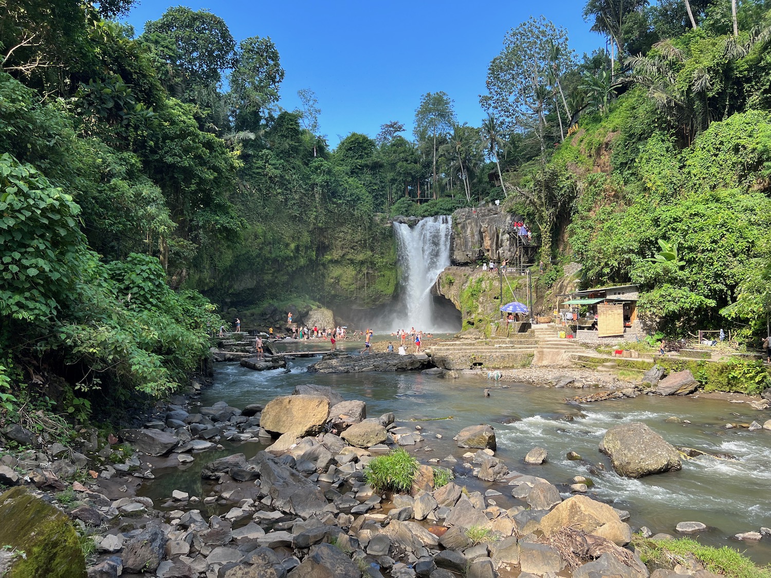 a waterfall in the middle of a forest