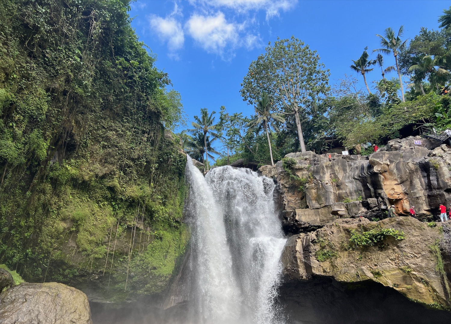 a waterfall in a forest