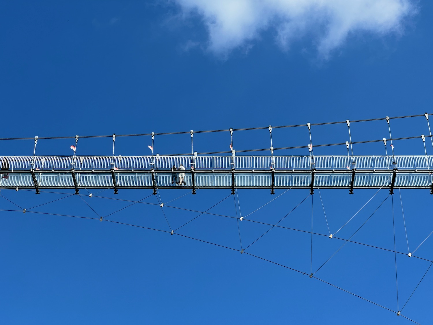 a bridge with wires and cables