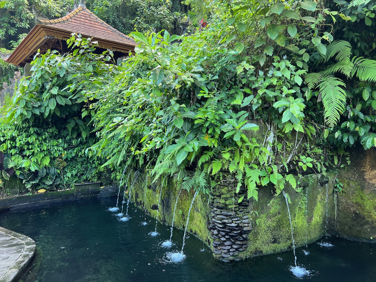 a water fountain with plants on the side