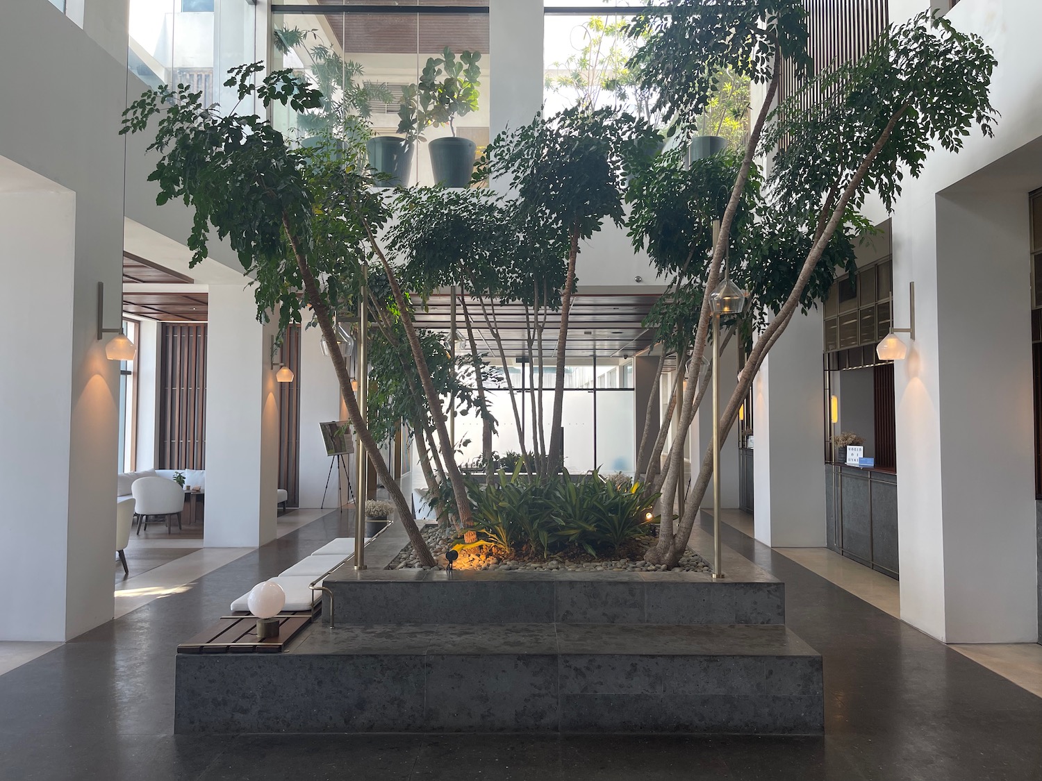 a large indoor planter with trees in a building