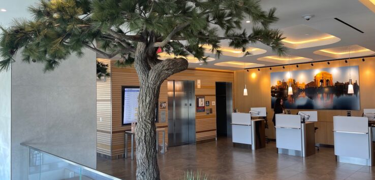 American Airlines Admirals Club San Francisco Review