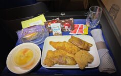 a plate of food on a tray