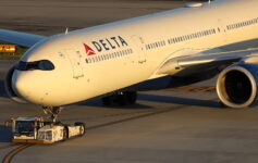 Delta Airbus panel