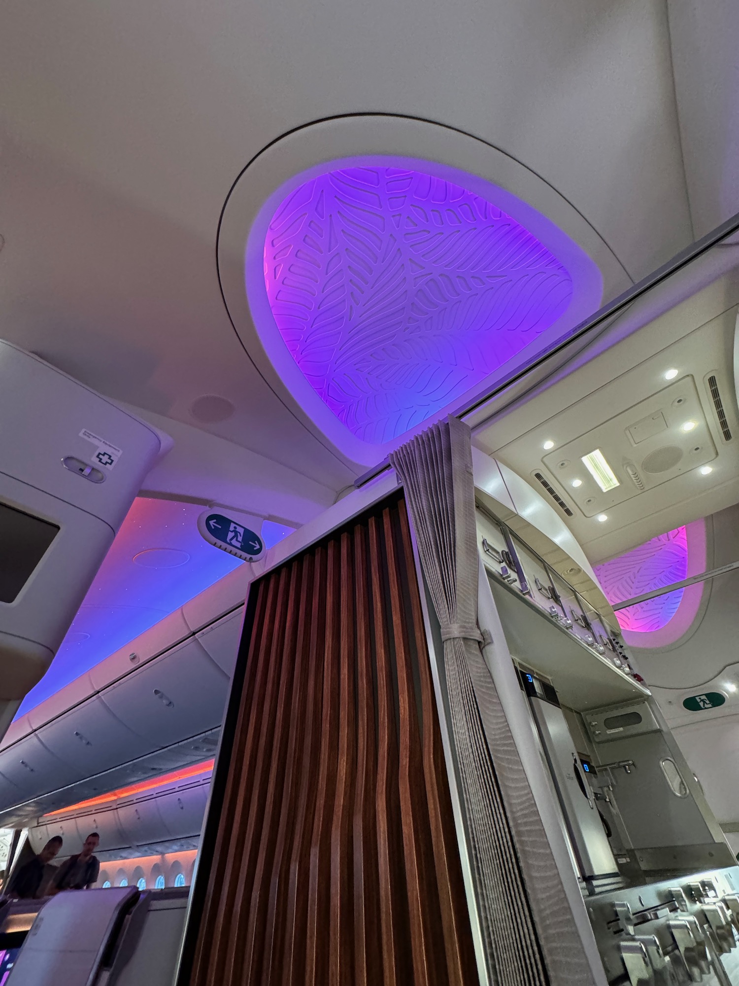 a purple light on a plane