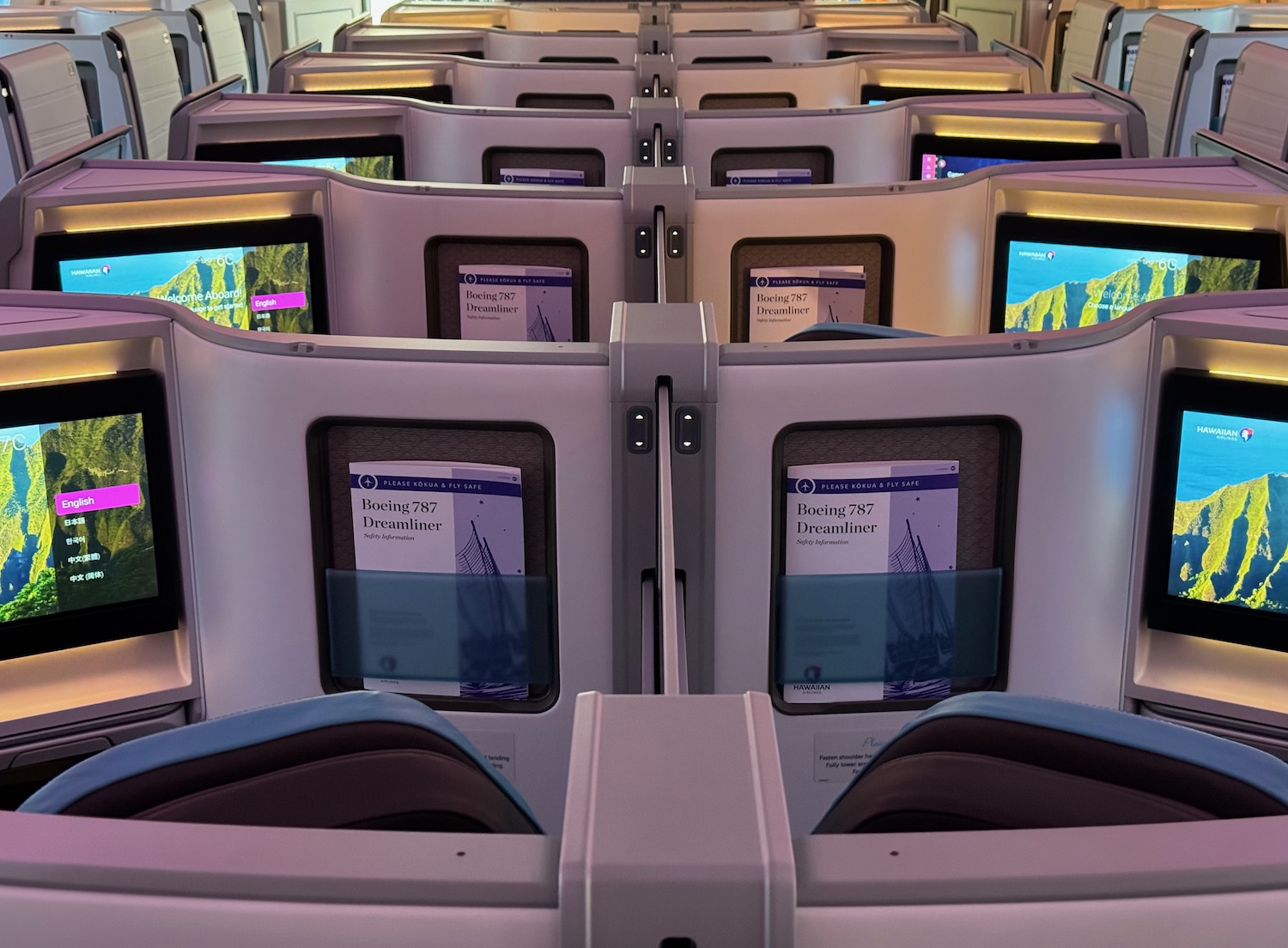 rows of seats on an airplane