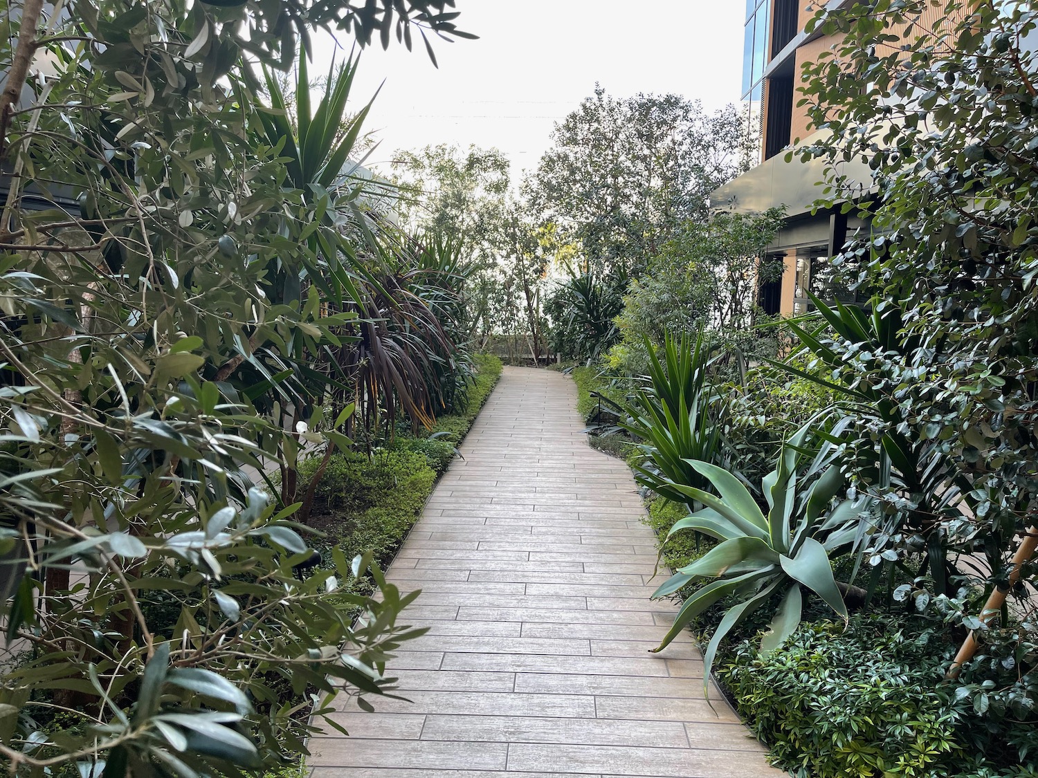 a stone path with plants and trees