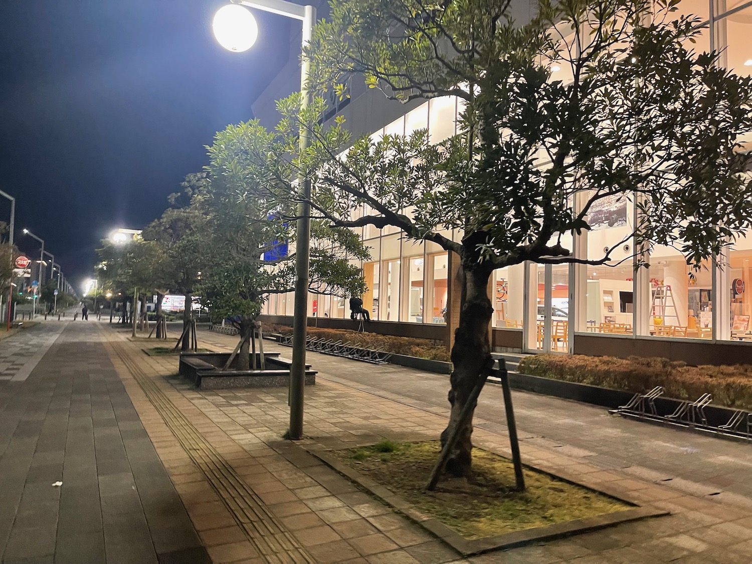 a tree lined sidewalk with a street light