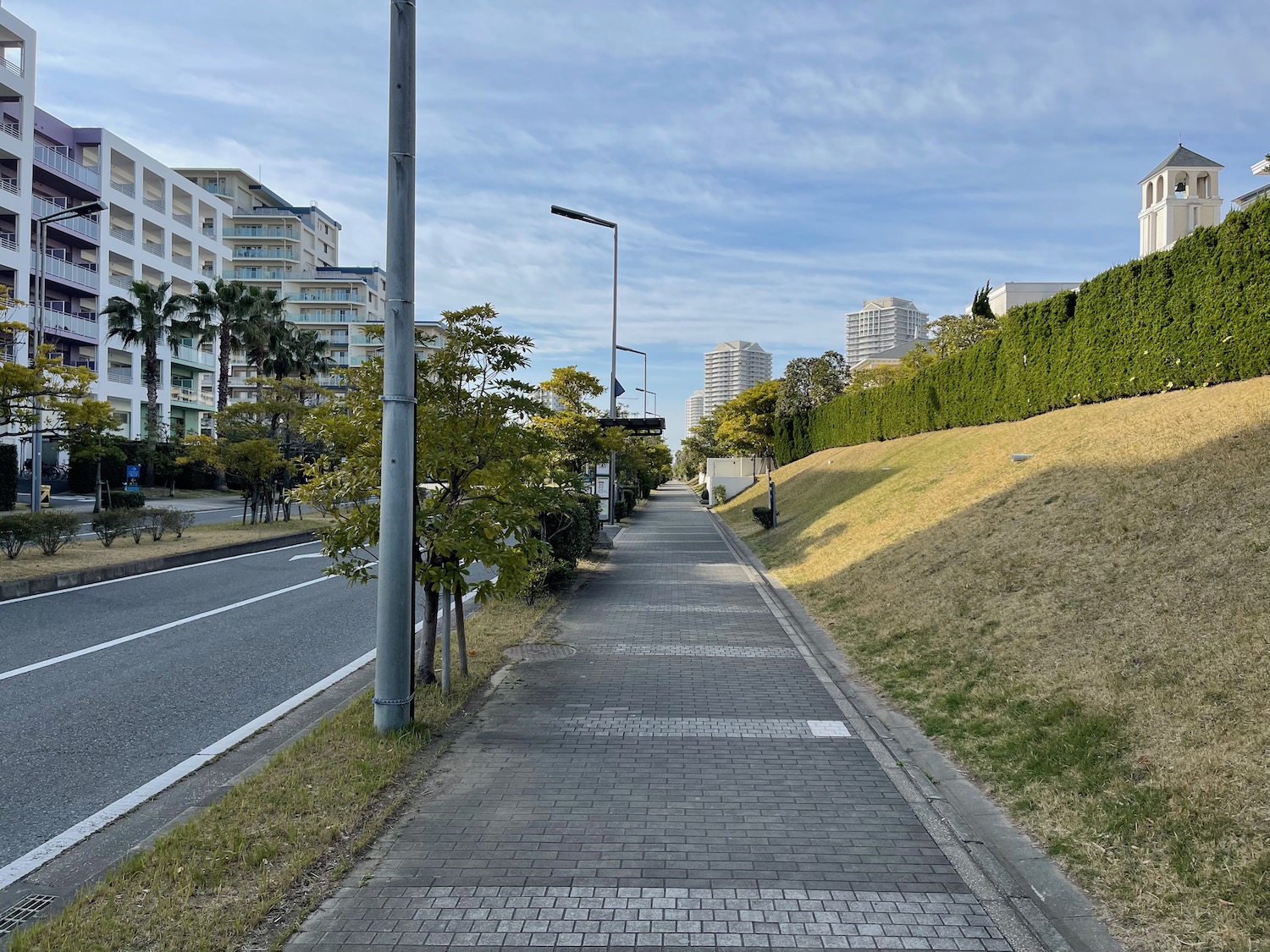 a brick road with trees and buildings in the background