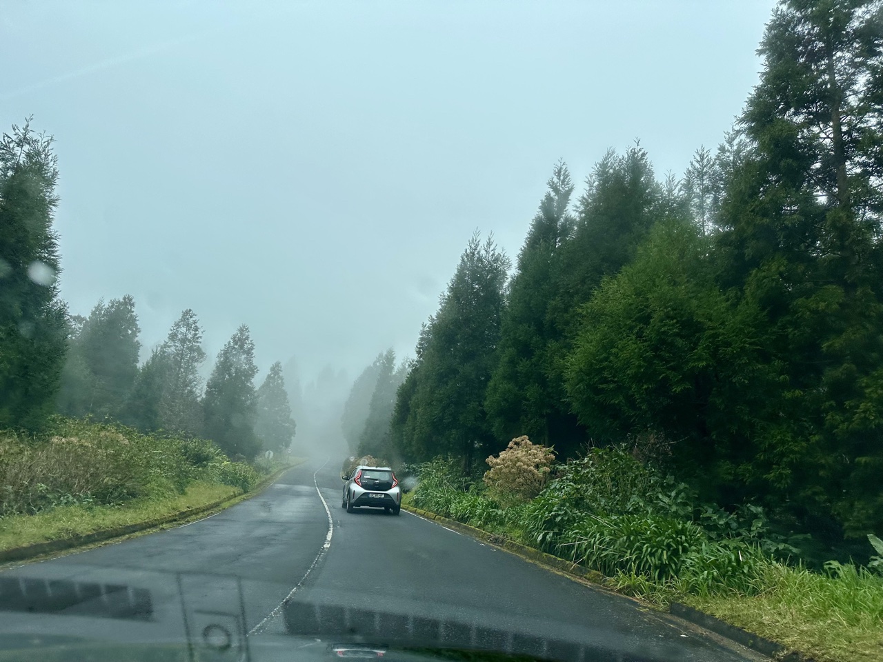 car hire azores driving through the forest