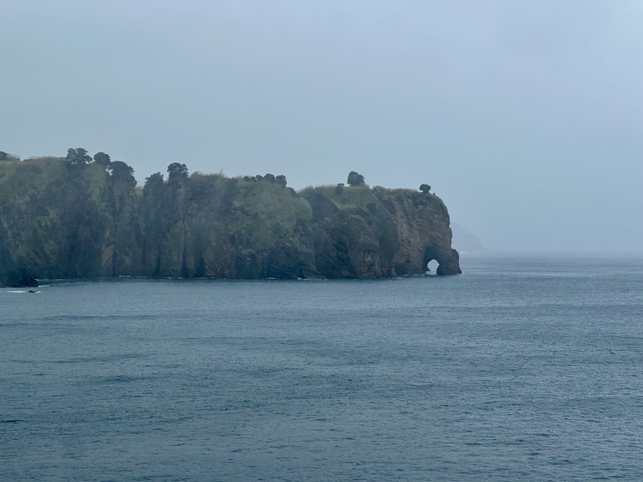 car hire azores elephants