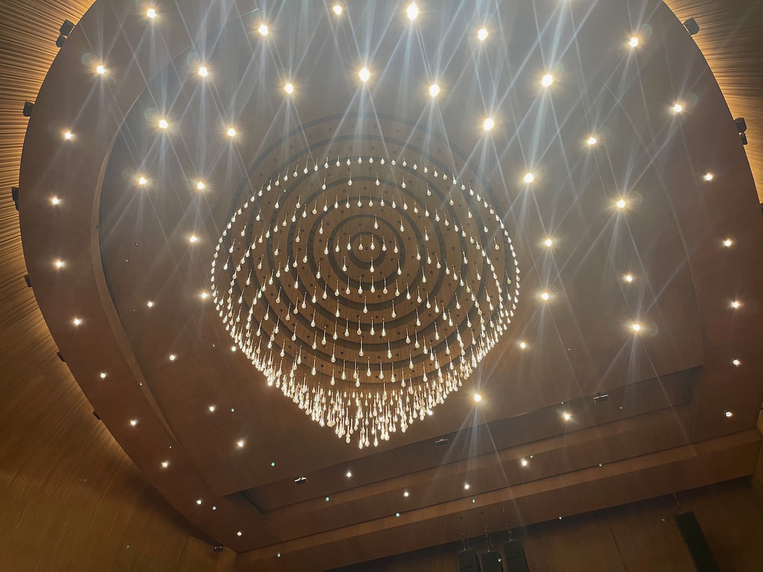 a chandelier with lights on the ceiling