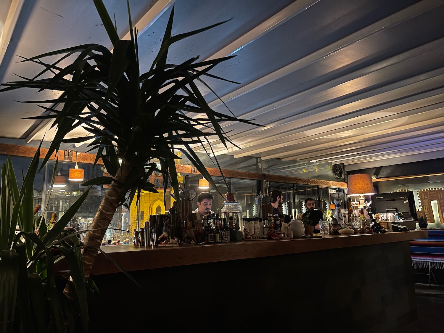 a bar with a plant and a man behind it