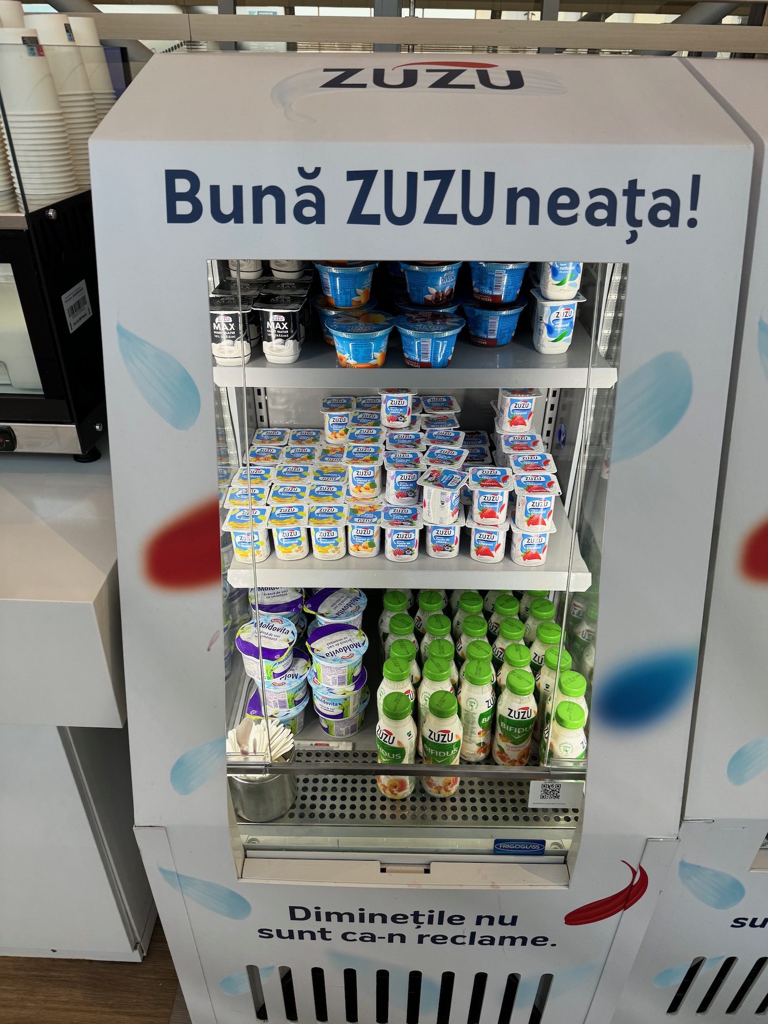 a shelf of yogurt and yogurt