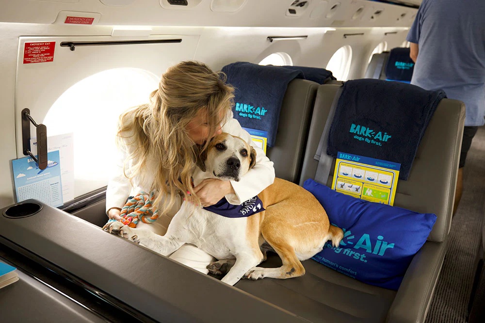 a woman kissing a dog on an airplane