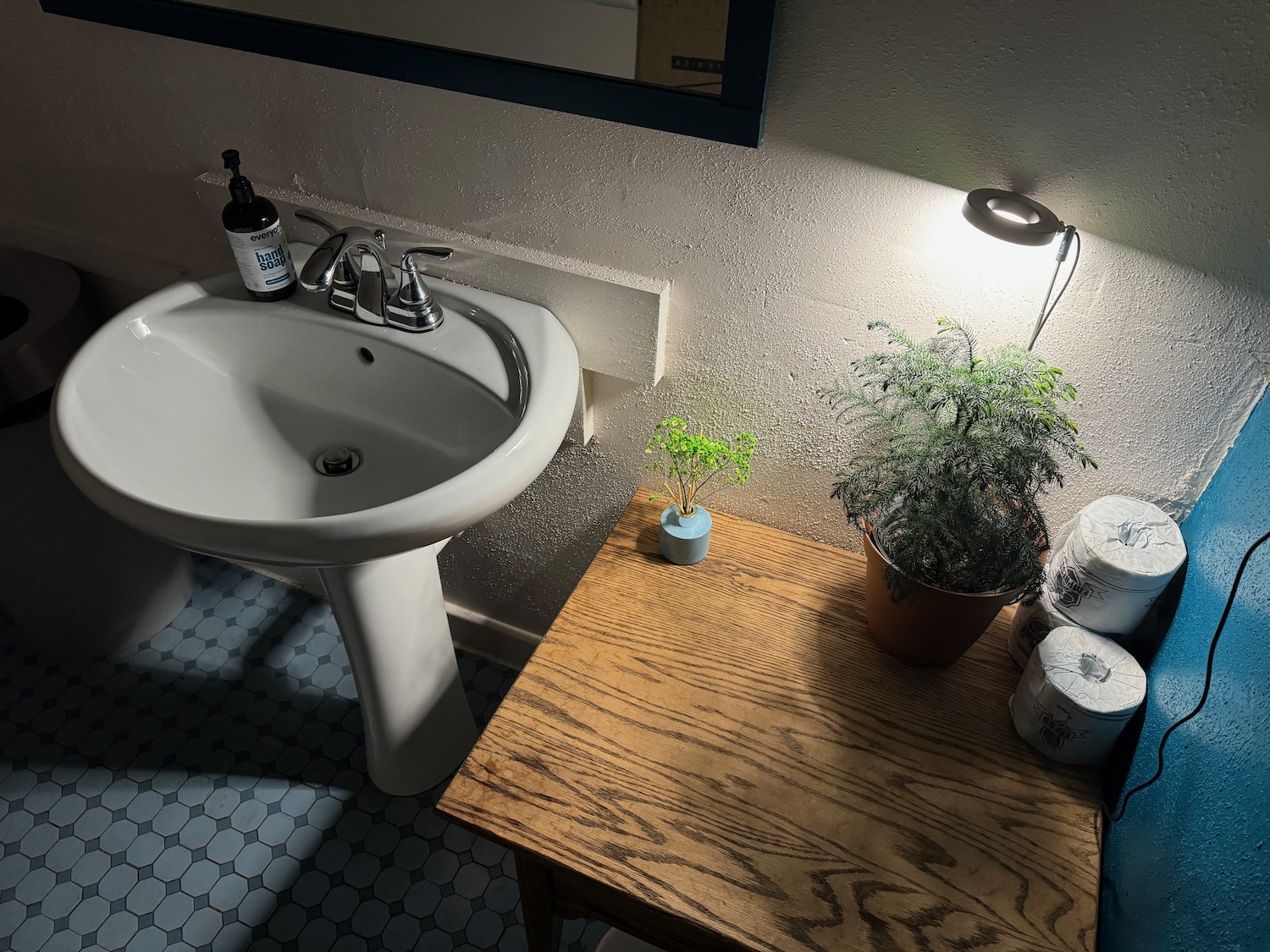 a sink and a table with a lamp and a plant