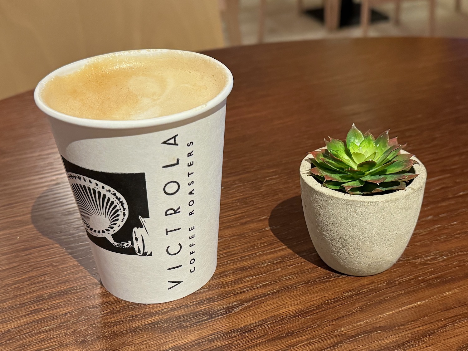 a cup of coffee and a succulent in a pot