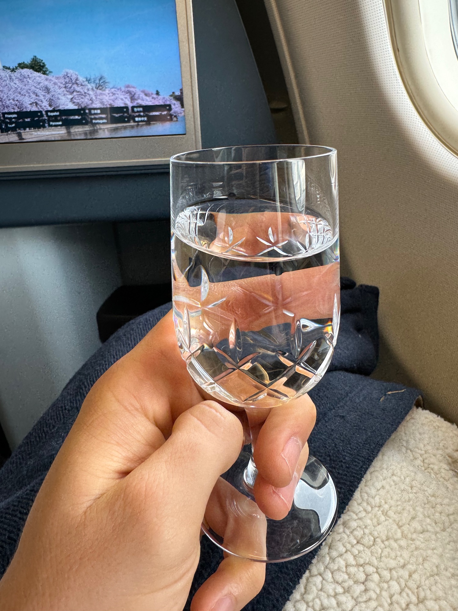 a hand holding a glass of water