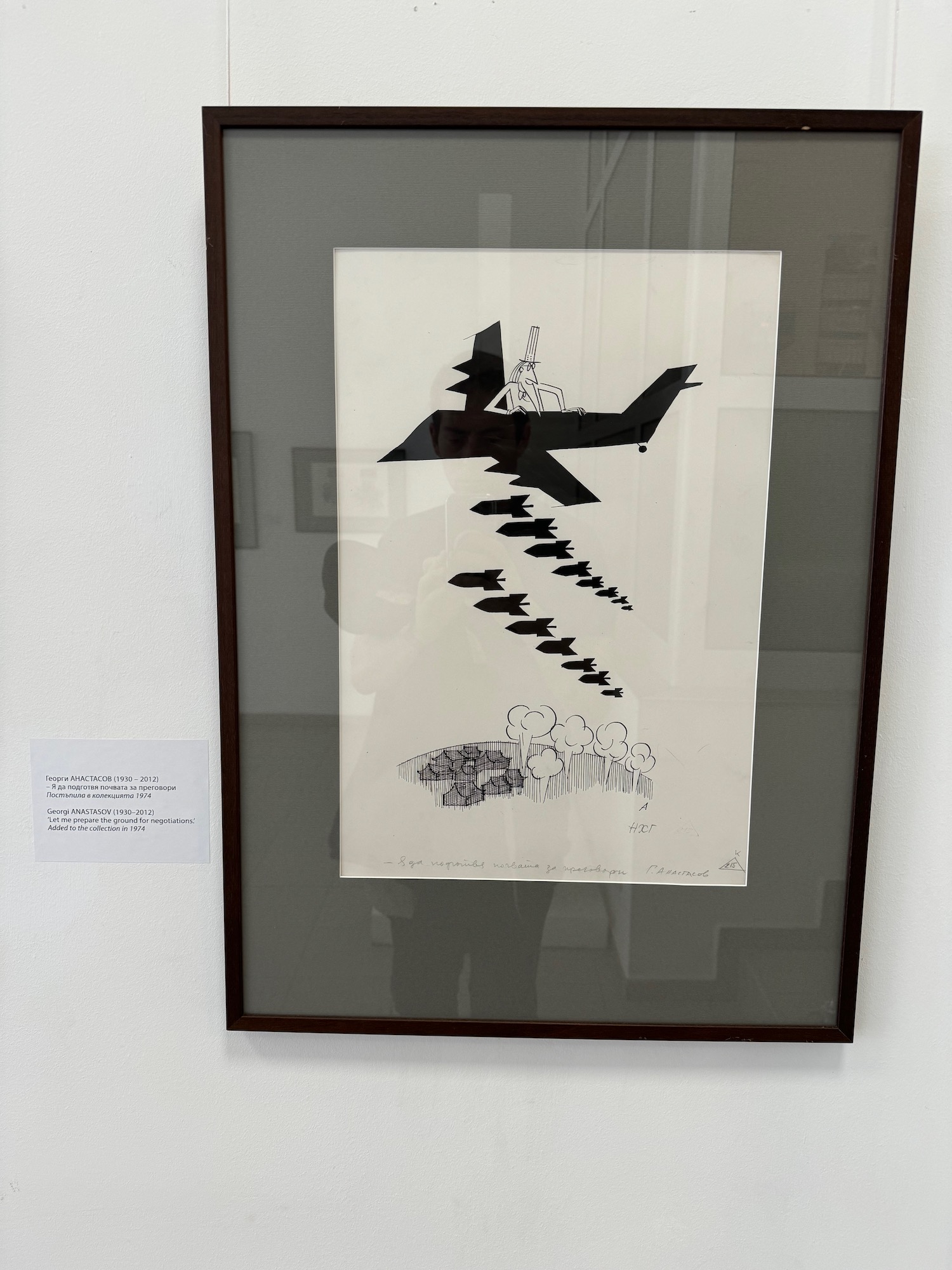 a framed picture of a plane