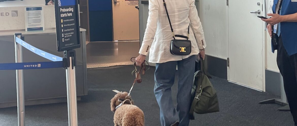 a woman walking a dog in a hallway