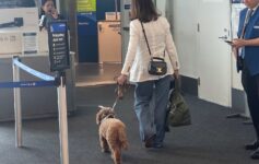 a woman walking a dog in a hallway
