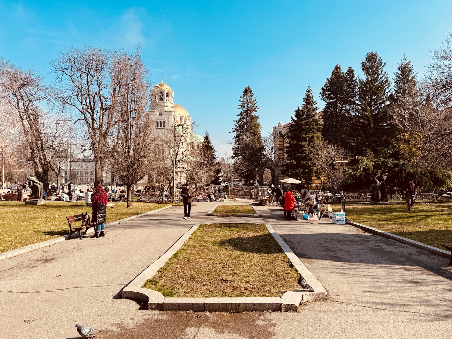 a group of people walking in a park