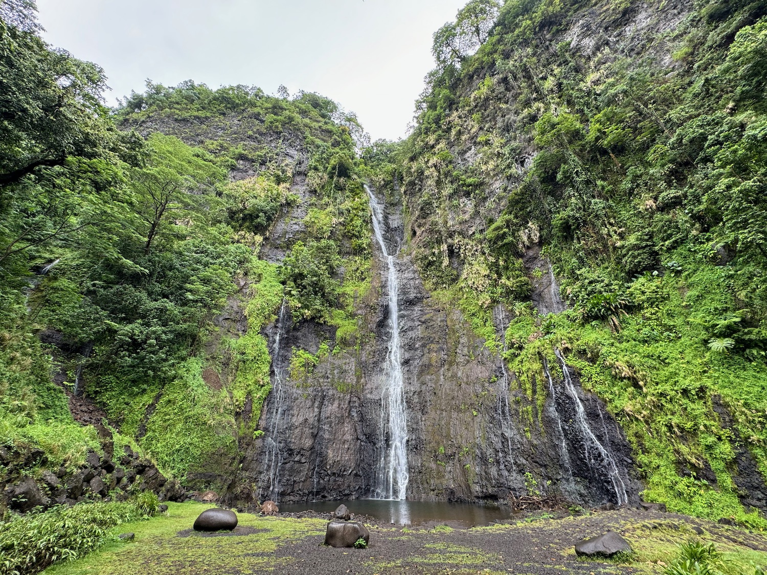 a waterfall in the middle of a forest