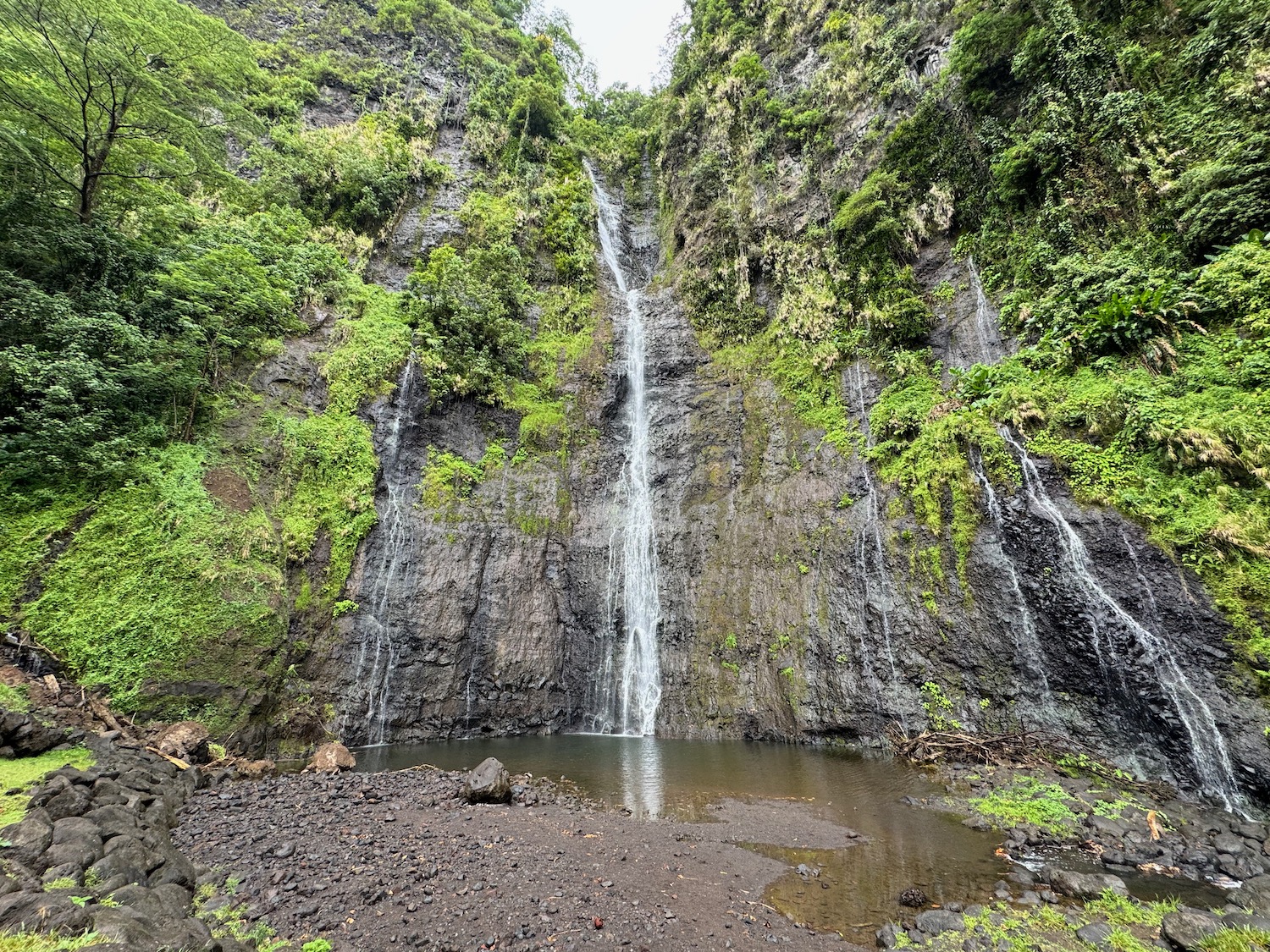 a waterfall in a forest