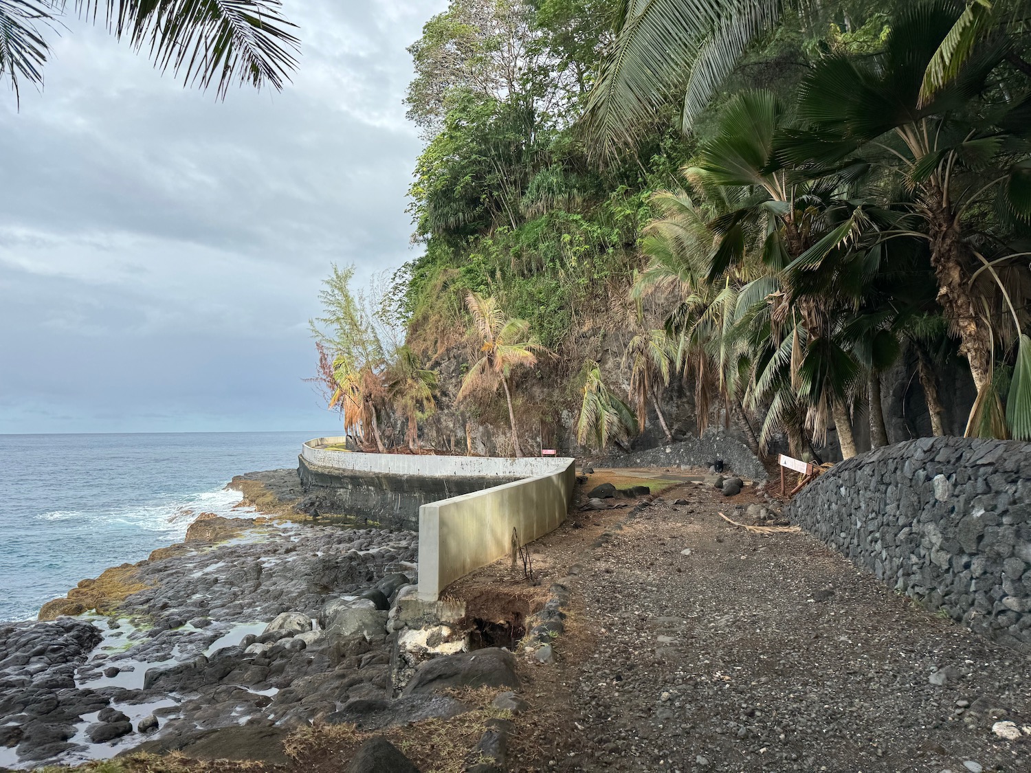 a rocky shore with trees and a wall