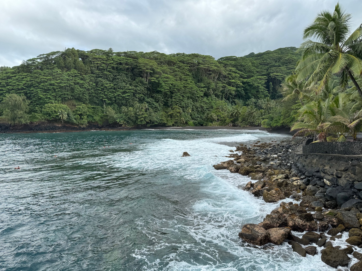 a body of water with trees and rocks