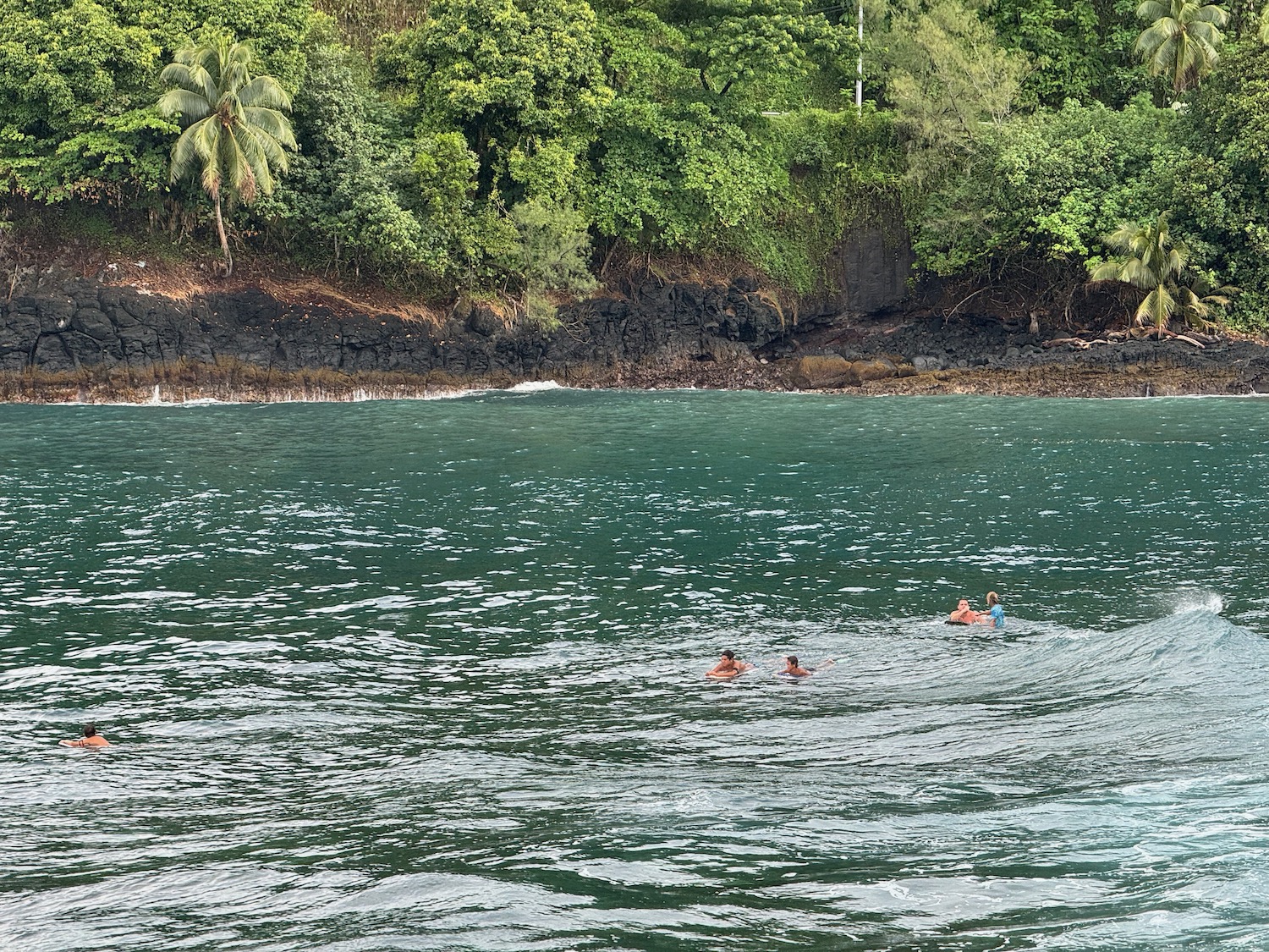 people swimming in the water