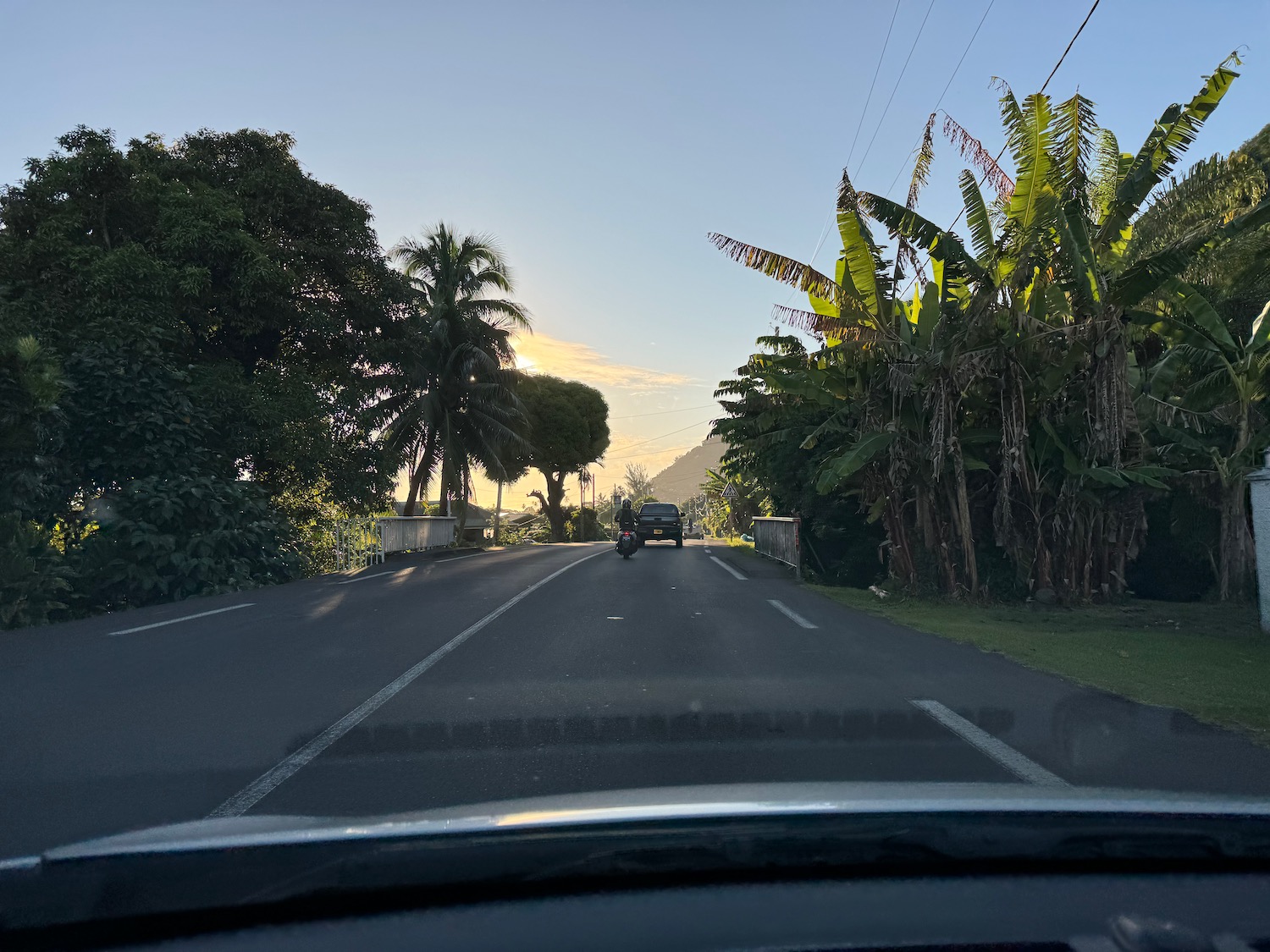 a car driving down a road with trees and a blue sky