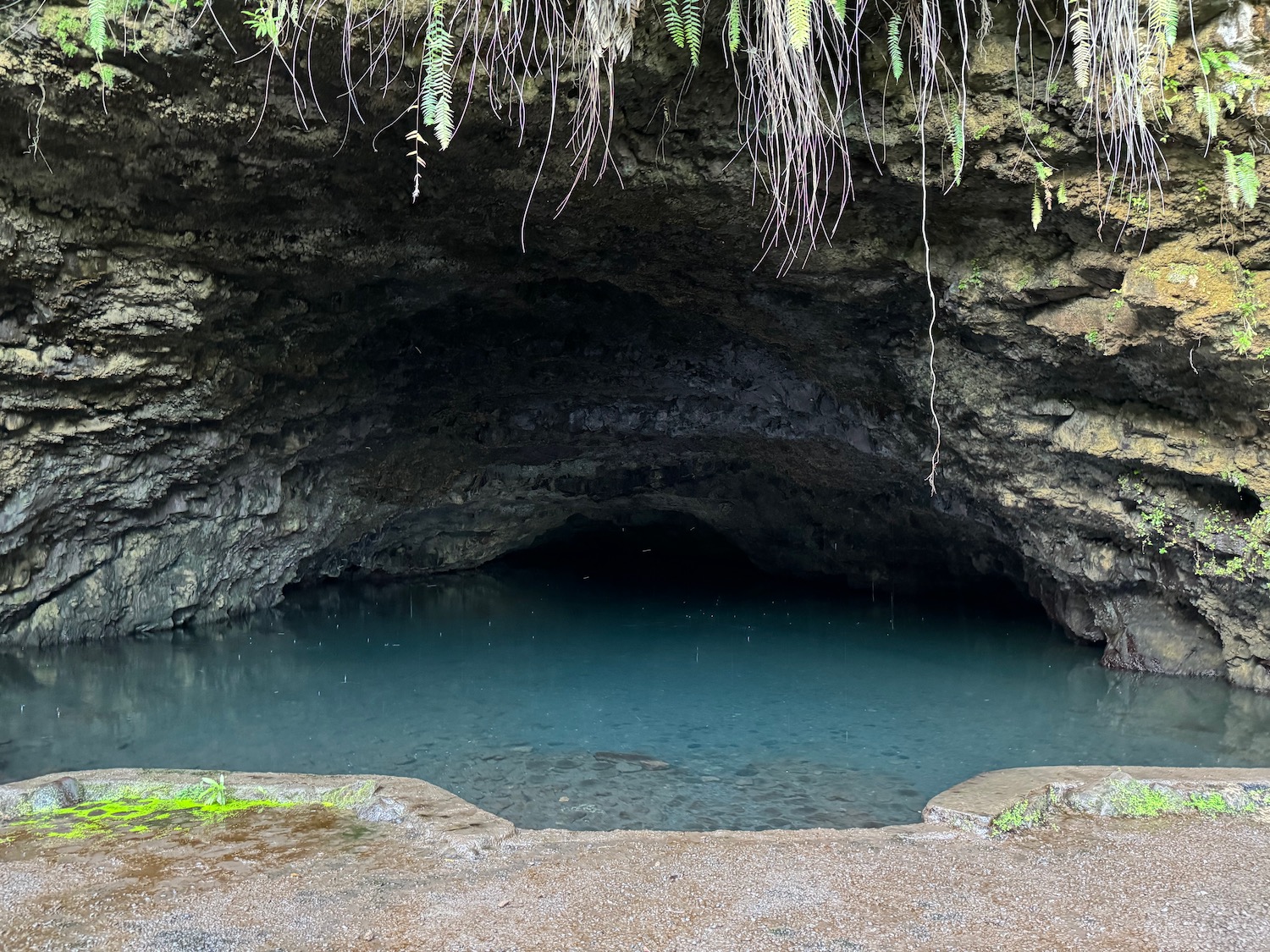 a cave with a pool of water with Piula Cave Pool in the background