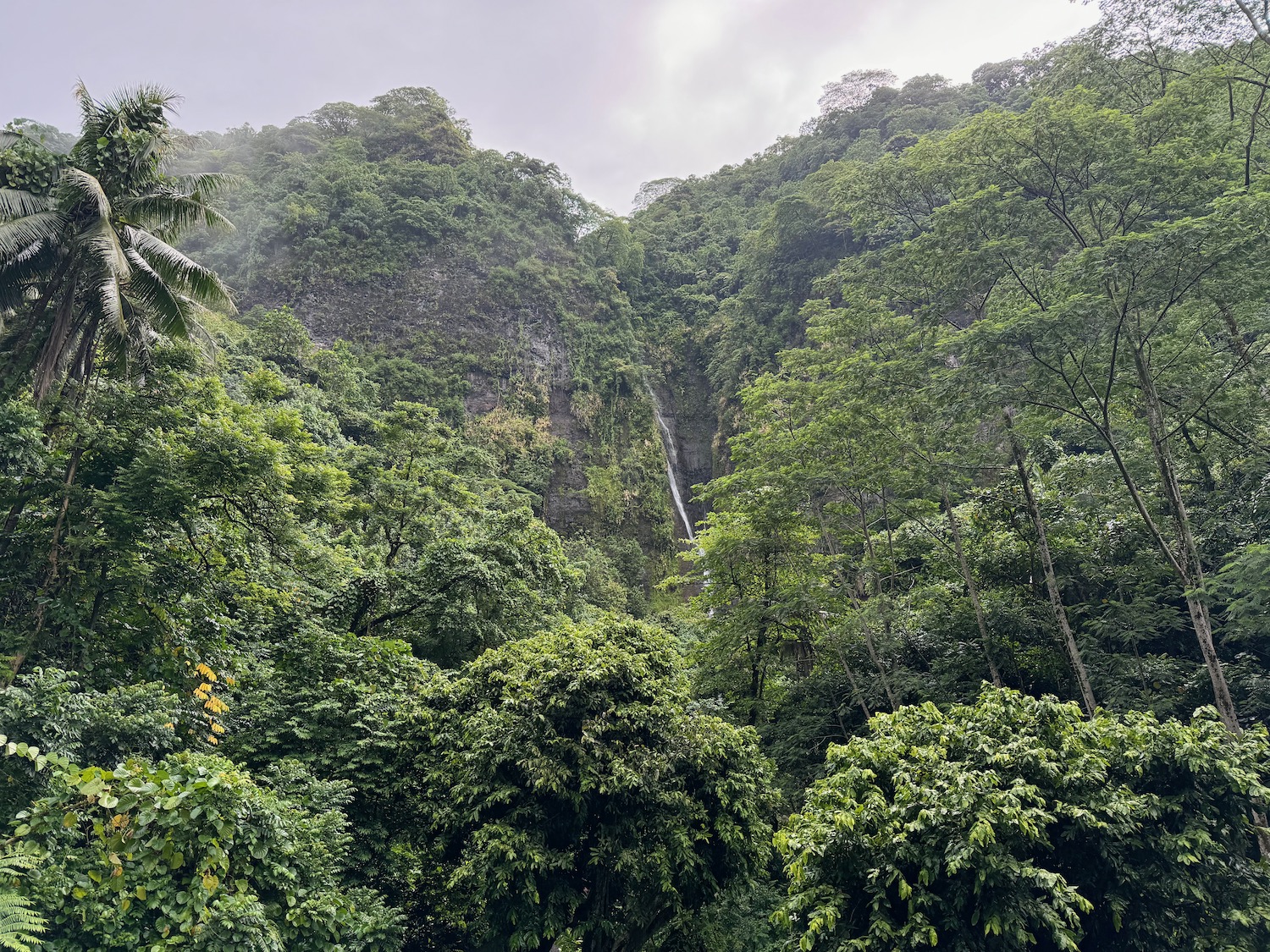 a waterfall in a forest