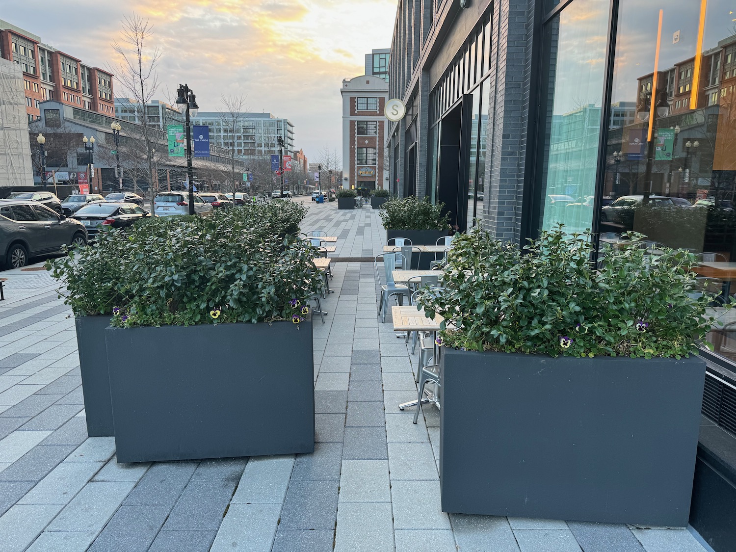 a sidewalk with tables and chairs and plants