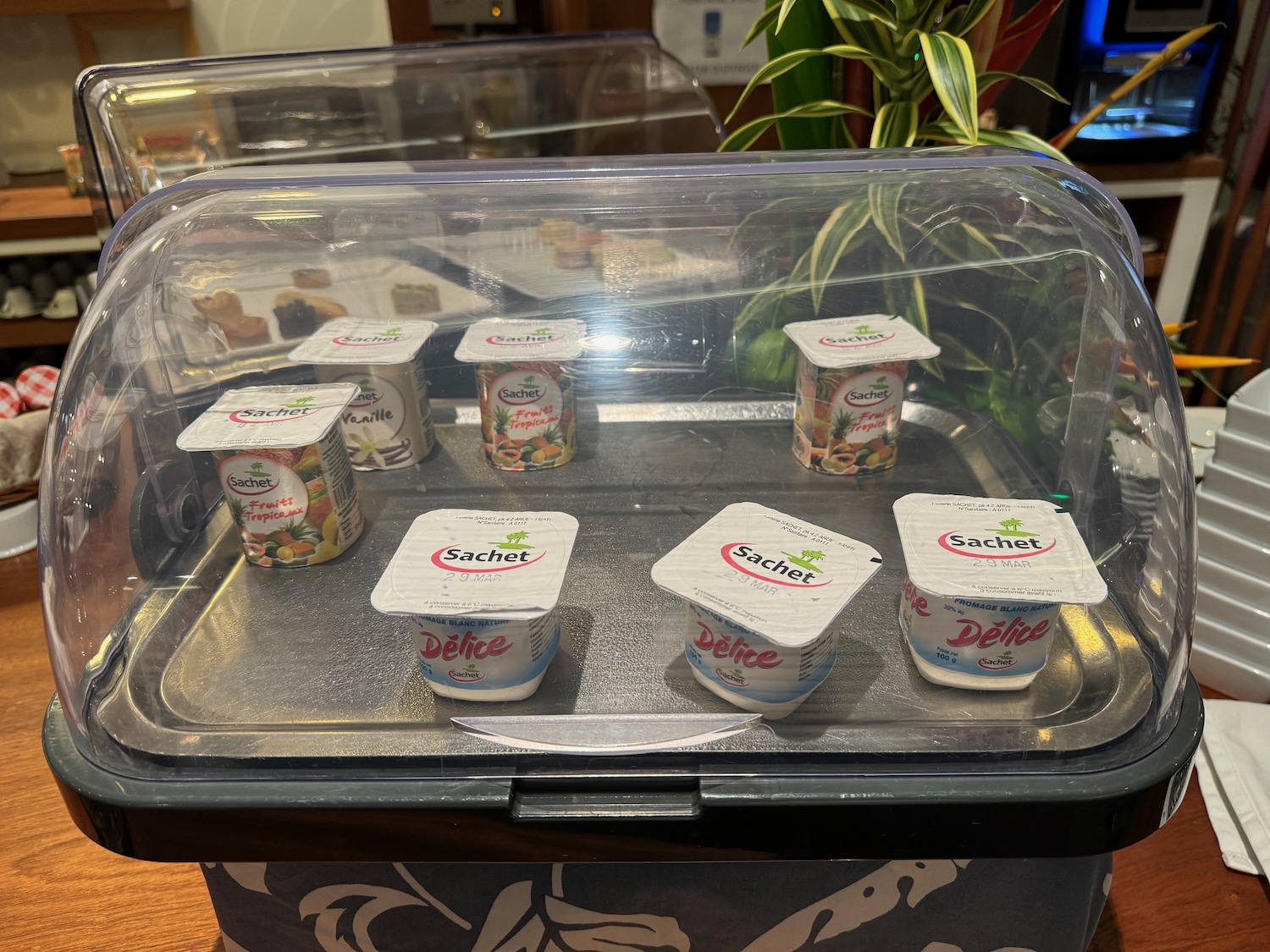 a plastic container with small containers of yogurt in it