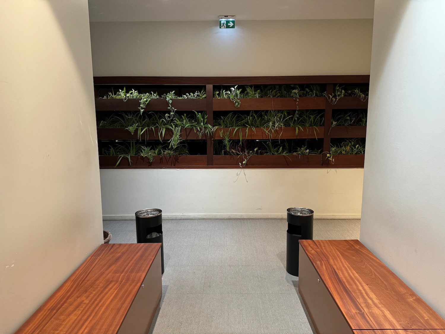 a room with a plant wall and wooden benches