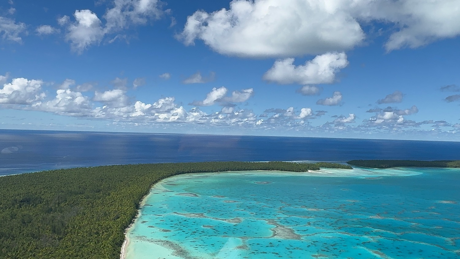 a blue ocean with trees and a blue sky