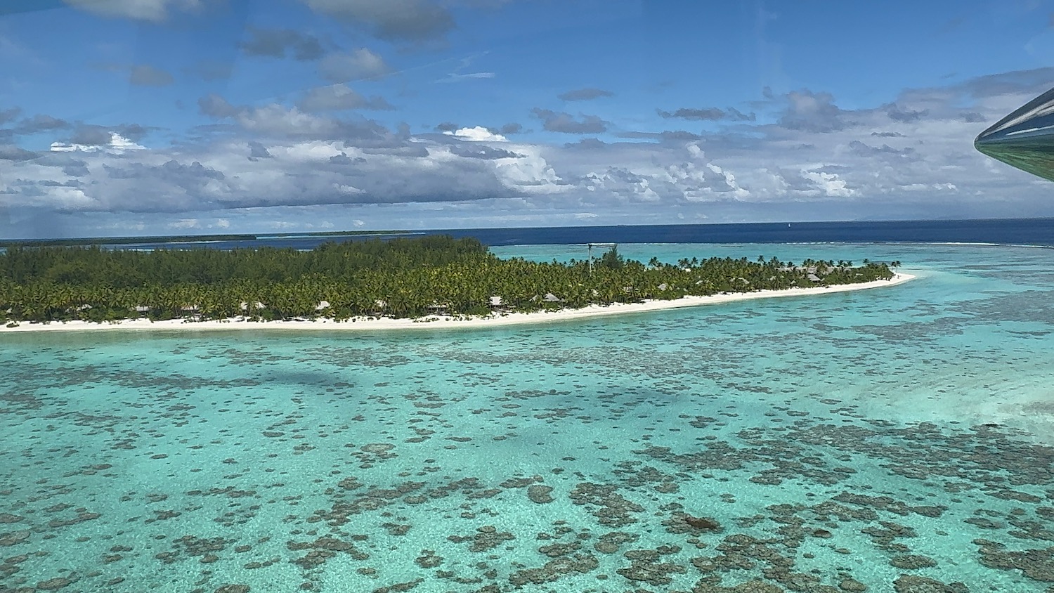 an island with trees in the ocean