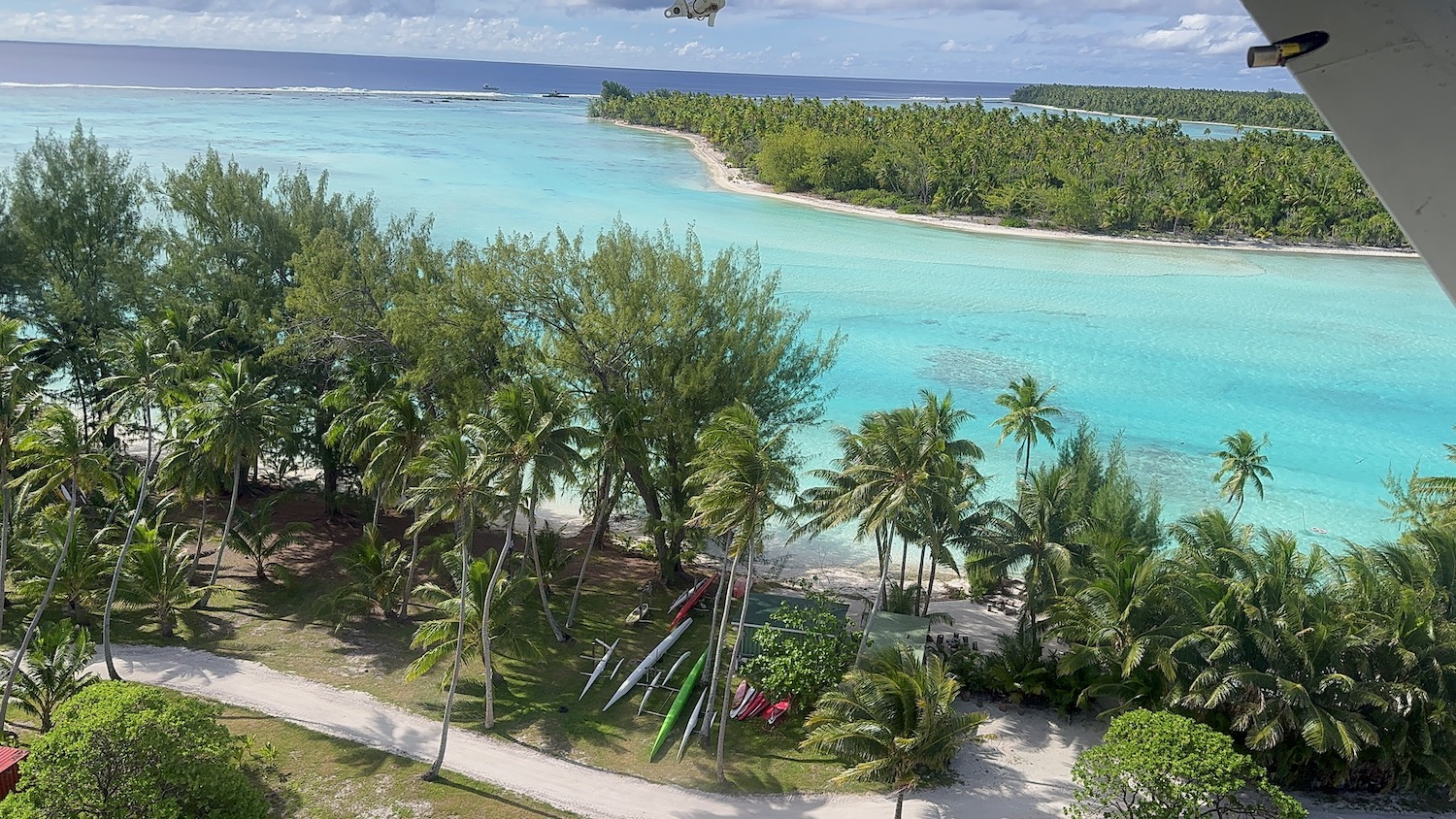 a beach with palm trees and a body of water