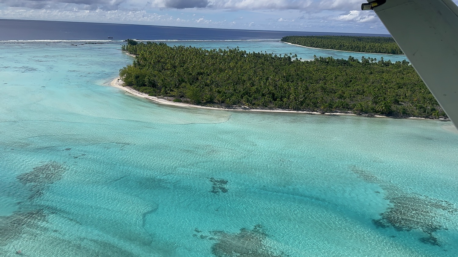 an island with trees in the water