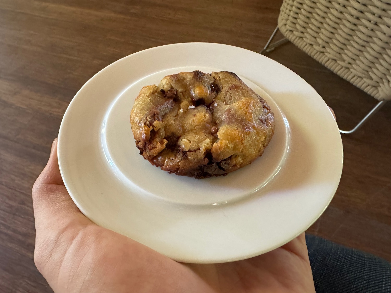 a hand holding a plate of food