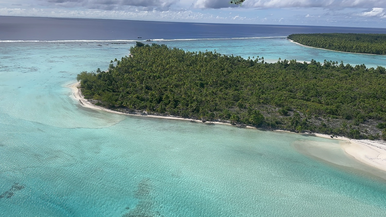 an island with trees in the ocean