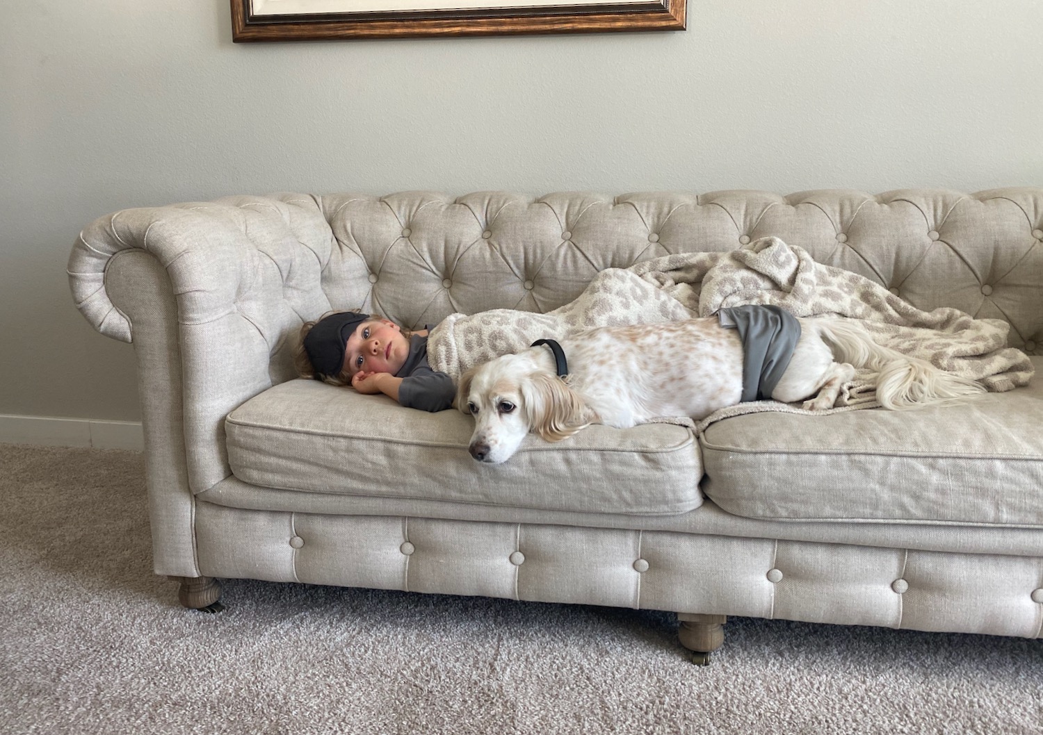 a child lying on a couch with a dog