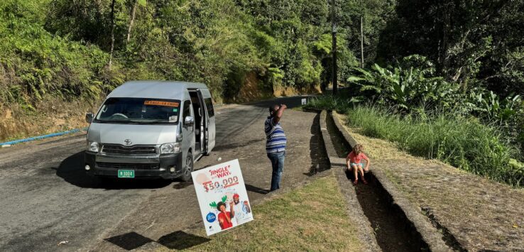 a person standing on a road next to a van