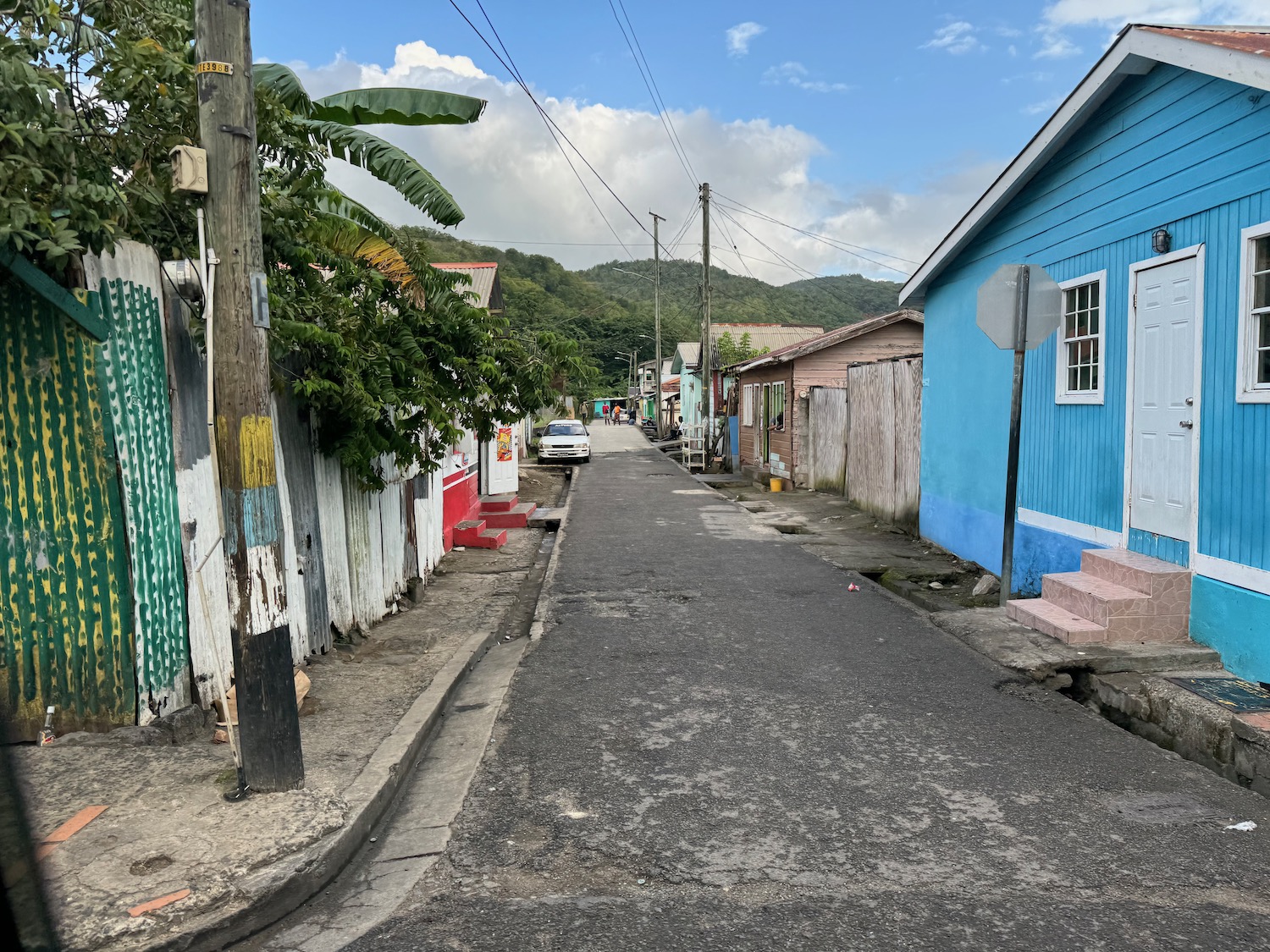 a street with houses and trees